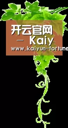 开云官网 - Kaiyun综合平台 · 比分实时同步