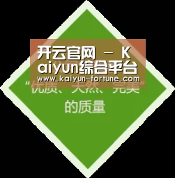开云官网 - Kaiyun综合平台 · 比分实时同步