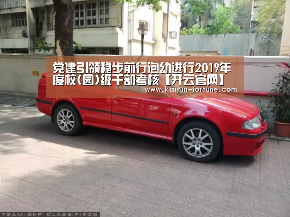 开云快讯