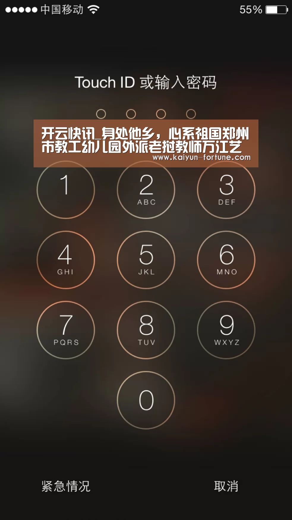 开云比分