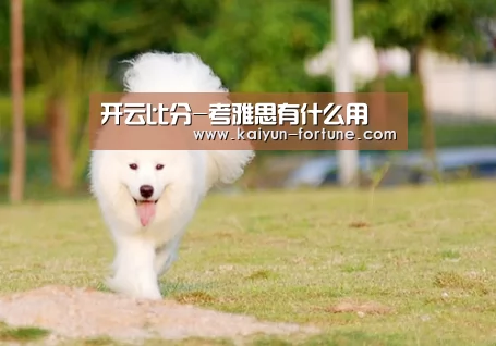开云比分-考雅思有什么用(图1) 开云比分