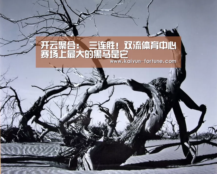 开云聚合:
三连胜!双流体育中心赛场上最大的黑马是它(图4) 开云比分