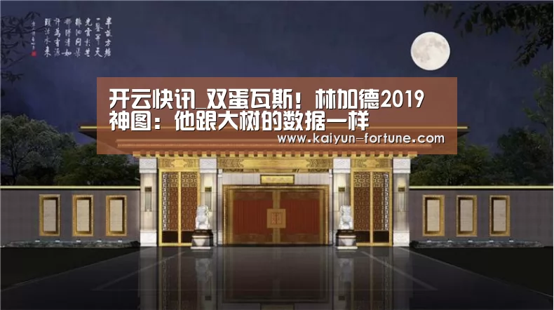 开云比分