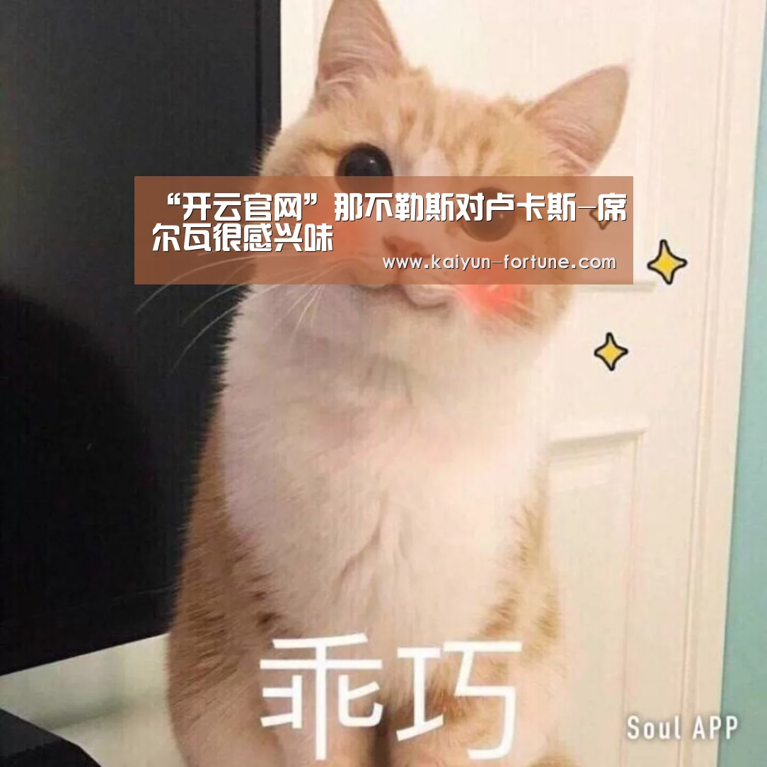 开云比分